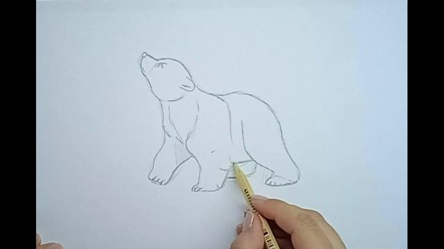 Как нарисовать медвежонка \\ медведь // детеныш \\ зимние рисунки смотреть онлайн
