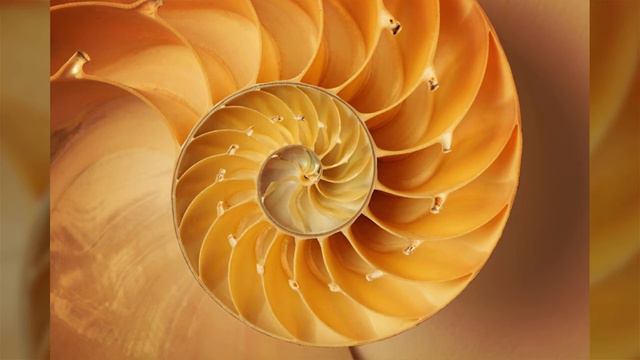 Золотий перетин і контрольна сума Євангелія – індикатор правильного відновлення цілісності Послання смотреть онлайн