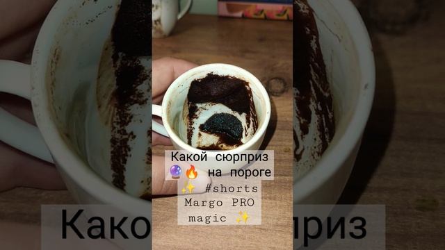 Какой сюрприз ?? на пороге ✨ #shorts Margo PRO magic ✨ смотреть онлайн
