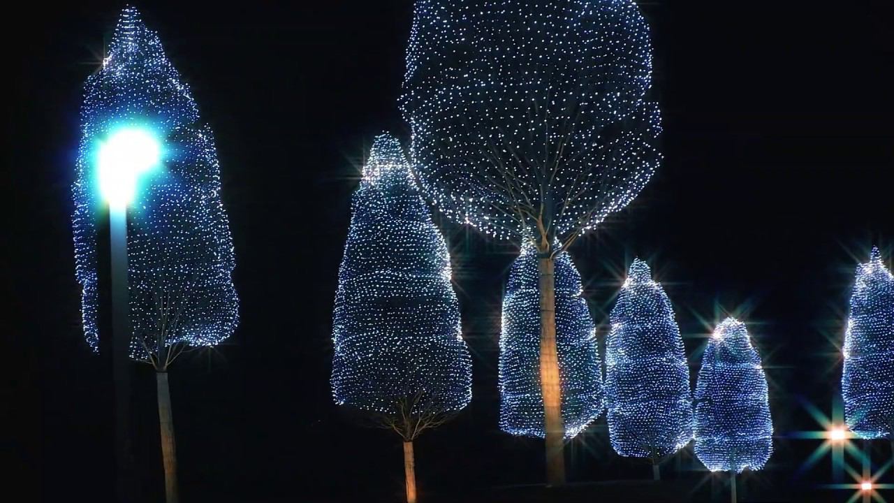 Главная фишка Краснодара! Без комментариев. смотреть онлайн