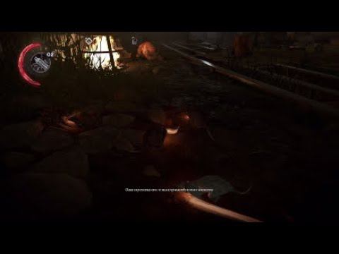 Крысы смотреть онлайн