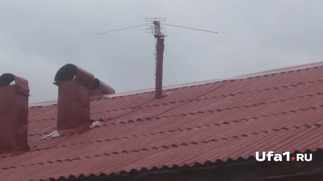 Стройка и Ремонт