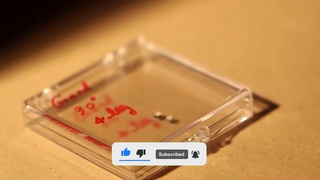 ROGUE AI 'could KILL everyone,' SCIENTISTS WARN!!! смотреть онлайн