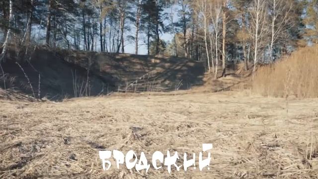 Иосиф Бродский - Март, стихи о ранней весне смотреть онлайн