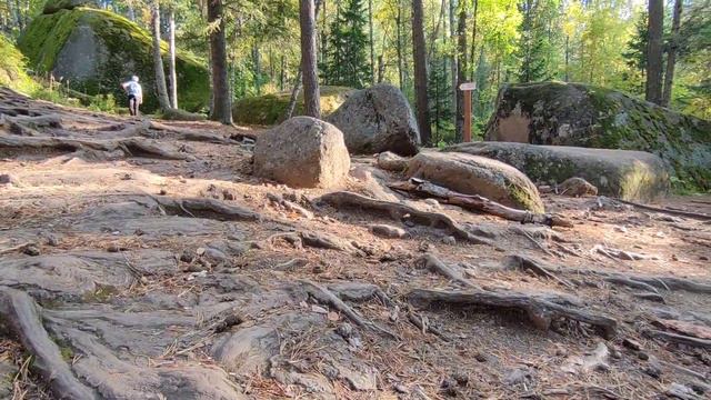 национальный заповедник Красноярские столбы смотреть онлайн