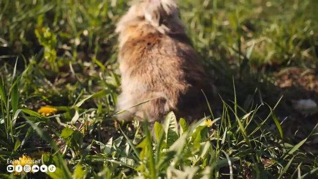 Успокаивающая музыка лечит сердце и успокаивает нервную систему? Музыка для души и расслабления #26