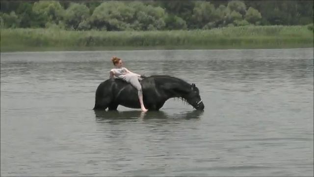 На Дону смотреть онлайн