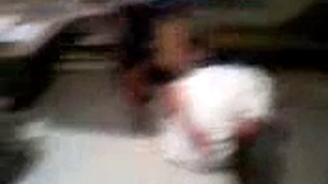 BEST NINJA SLAP EVER смотреть онлайн
