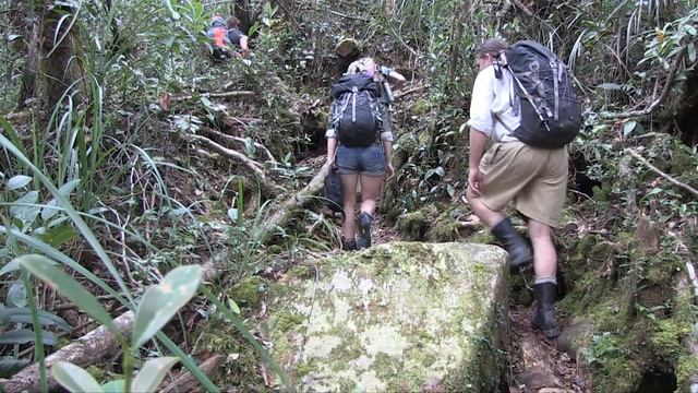 Borneo Orchids Expedition