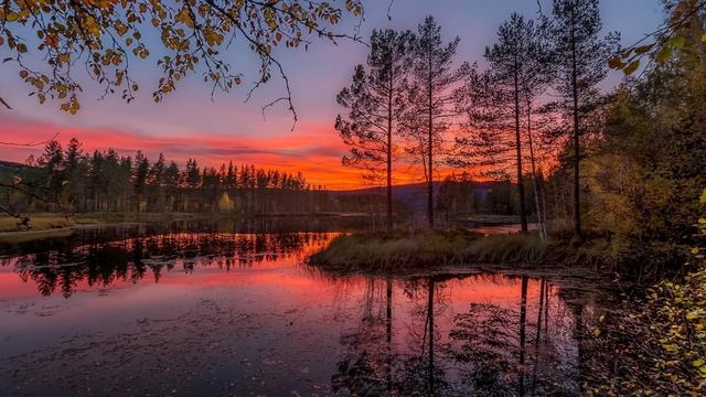Алексей Мандельштам - Улетела (Не улетай) смотреть онлайн