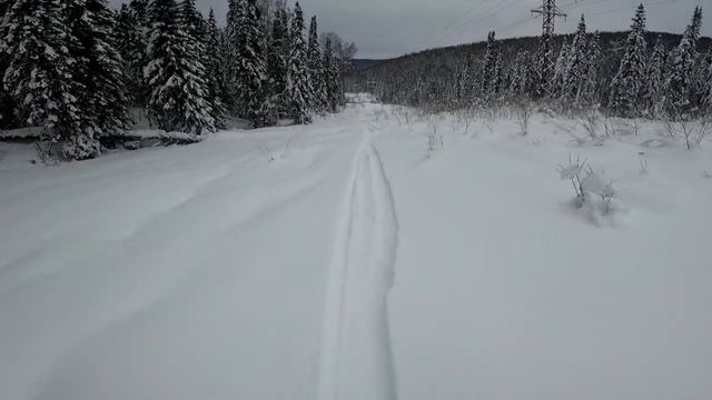 Туманная. Фрирайд для бедных. #ski_trail #таштагол #туманная #фрирайд #dji #djimini2