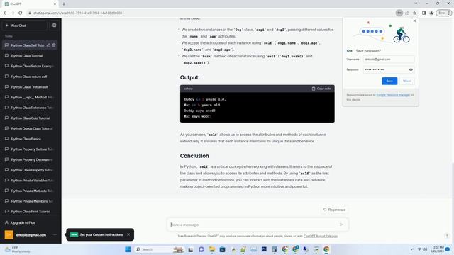 python class self смотреть онлайн