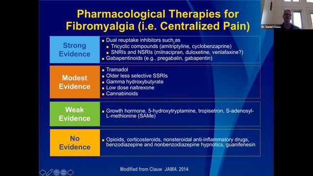 Chronic Pain, Centralized Pain, Flares, & Fibromyalgia: Examination And Multidisciplinary Strategie