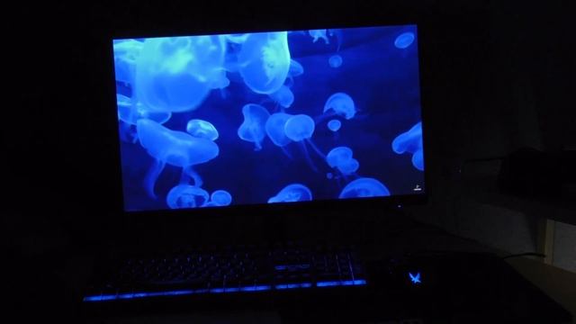 Acer RG240Ybmiix Gaming Monitor - REVIEW смотреть онлайн