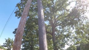 Дальнобой по США. Подготовка тягача к рейсу. Т.О. Встреча с Владимиром (Батюшка)