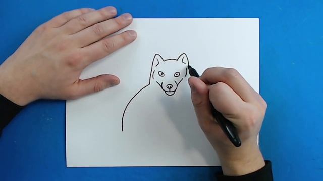 How to Draw an ARCTIC FOX смотреть онлайн