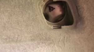 Рено Гранд Сценик 3. 7-ми местная версия.  Возможности трансформации салона. Видеообзор.