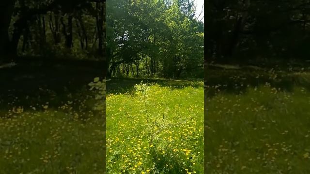 Места Силы – Энергия помогающая людям. смотреть онлайн