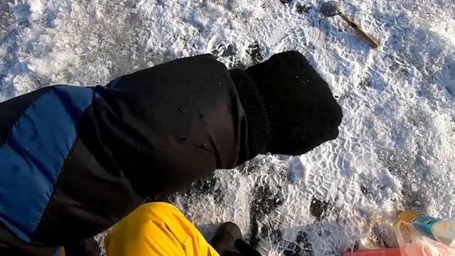 РЫБАЛКА НА КАПЧАГАЕ , ВОБЛА СОШЛА С УМА ! смотреть онлайн