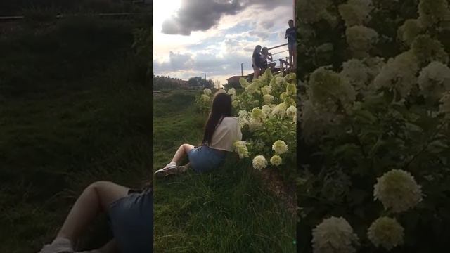 так я работаю на съёмках смотреть онлайн