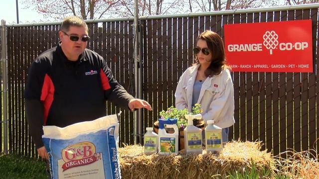 KDRV In the Garden with Grange Co-op: Petunias смотреть онлайн