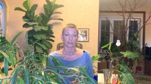 Фикус Беннедикта Али - что за фикус, в чем его особенности и как найти к нему подход