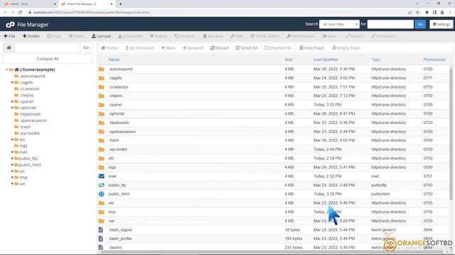 How to Edit .htaccess in cPanel's File Manager with Orange Soft BD смотреть онлайн