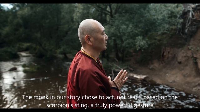 Act---not react! (A Zen story!) смотреть онлайн