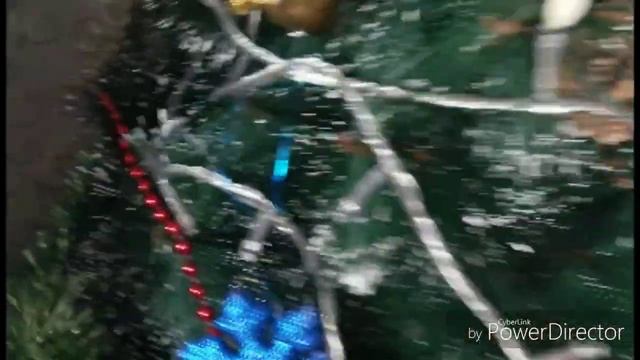 Где живут хомячки (3 часть) ??? покупка пряжи декабря 2018 года смотреть онлайн