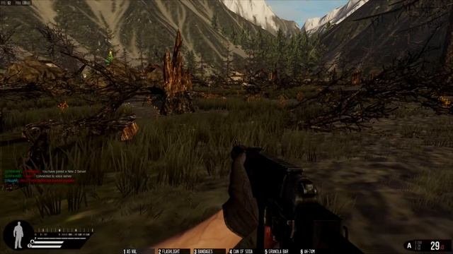 Infestation: The New Z Симулятор вылетов с сервера смотреть онлайн