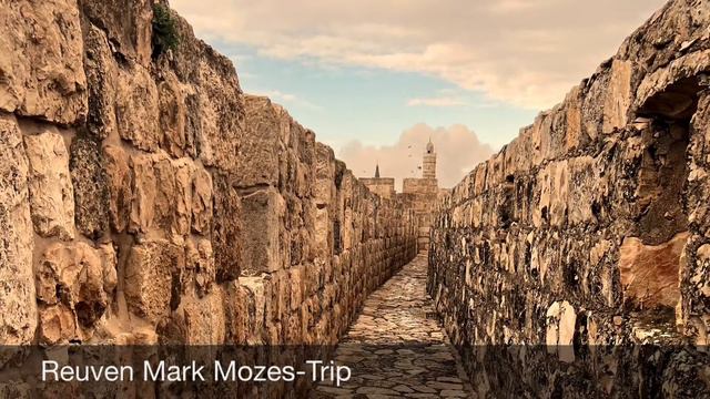 Reuven Mark Mozes-Trip смотреть онлайн