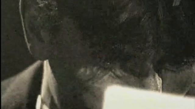 Потусторонний мир конан дойл смотреть онлайн