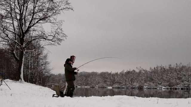 Обзор Zemex Rampage River Feeder 12'4 ft 100 gr смотреть онлайн