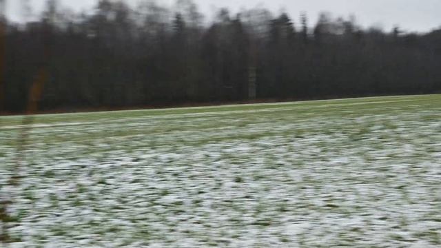 Загонная охота. Два дня из жизни охотника. Охота на лося с лайкой смотреть онлайн