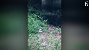 10 Самых Страшных Видео Приложения "Рандонавтика"