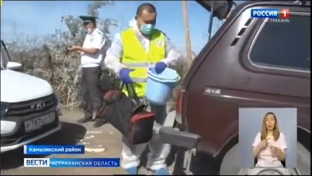 Сотрудники Россельхознадзора выявили факт незаконной организации свалки на земля.mp4 смотреть онлайн