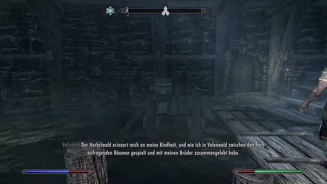 The Elder Scrolls V: Skyrim - Folge 102 - Weiter Durch Rifton // Letrison [SD/HD/4K] [Deutsch]