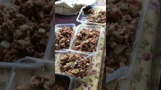 Бездомные кошки будут благодарны за любую помощь.Приват 4149 4993 4554 3134 смотреть онлайн