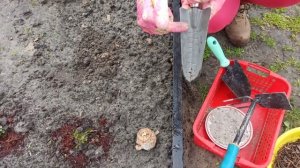 Как сажать каллы