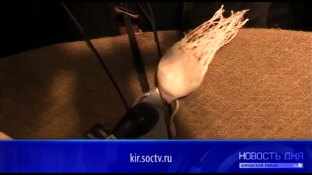 Театр кукол Бродячая собачка Дюймовочка смотреть онлайн