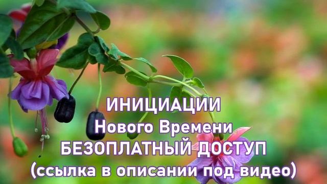 Что делать, если вы встречаете преграду на пути? смотреть онлайн