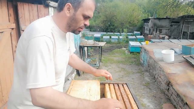 Как избежать роение пчёл смотреть онлайн