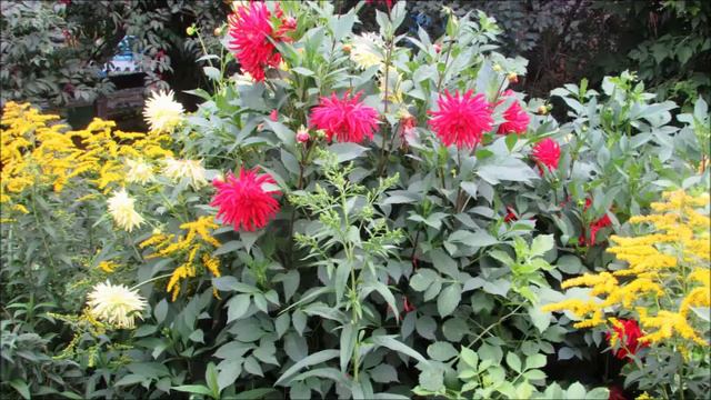 Вальс цветов смотреть онлайн