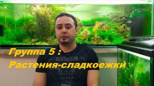 Растения из меристемы.  Группа 5 - Аквариумные гурманы. (Архив от 30.04.2022)