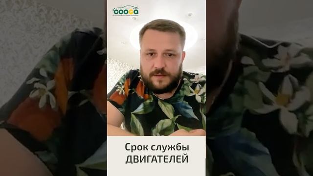 Боксерская мозаика