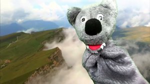 ВОЛК ОТВЕЧАЕТ НА ВАШИ ВОПРОСЫ ИЗ КОМЕНТАРИЕВ!