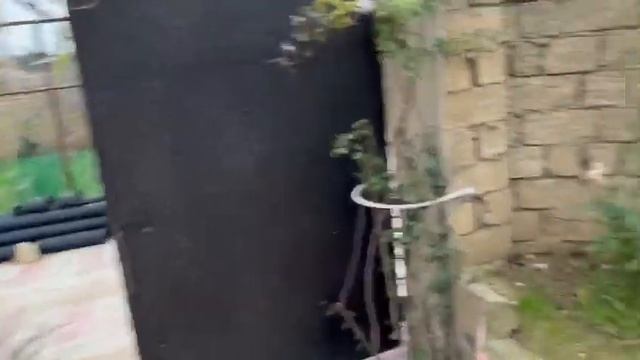 Купила Дерево Лимона ?Фейхоа, Дерево Мандарина и Плетущую Розу ?Поездка на Электричке ? смотреть онлайн