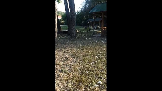 Оскол, улица Набережная 64, гостевой дом "Набережный" смотреть онлайн