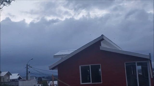 Птицы улетают с острова перед бурей / Pájaros escapan de la isla antes de una tormenta смотреть онлайн