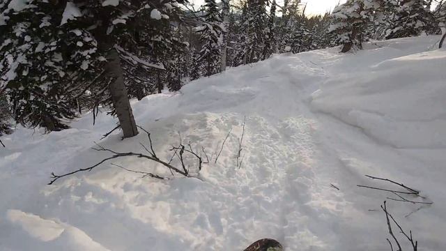 Шерегеш спуск по лесу, сектор А смотреть онлайн